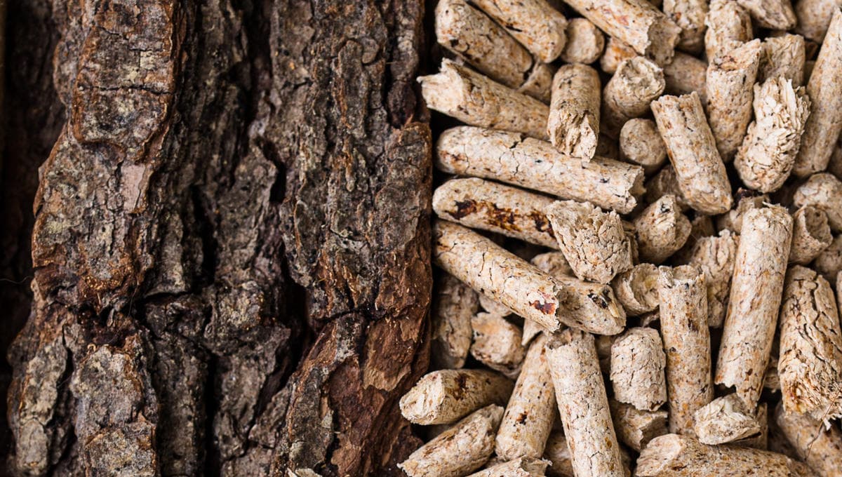 ¿Qué calefacción por biomasa es mejor, pellets o leña?